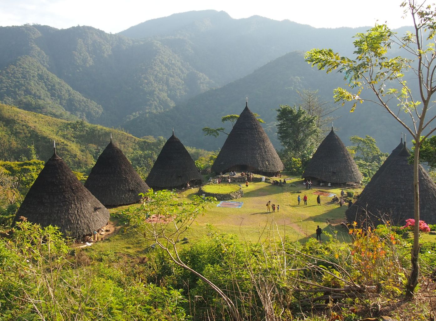 Top Hotels in Flores, Indonesia: